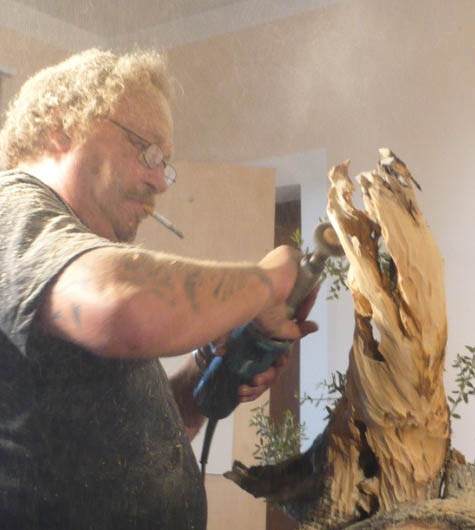 图解 老外人工舍利干盆景制作全记录