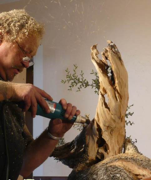 图解 老外人工舍利干盆景制作全记录