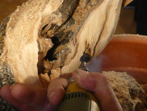 图解 老外人工舍利干盆景制作全记录