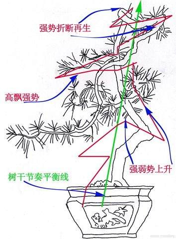 图解 悬崖盆景怎么制作的方法