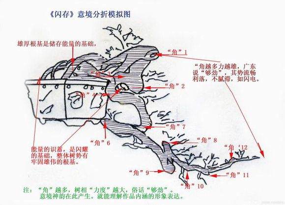 图解 悬崖盆景怎么制作的方法