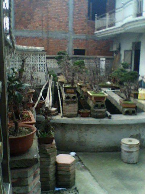 2014年 养下山桩日志帖