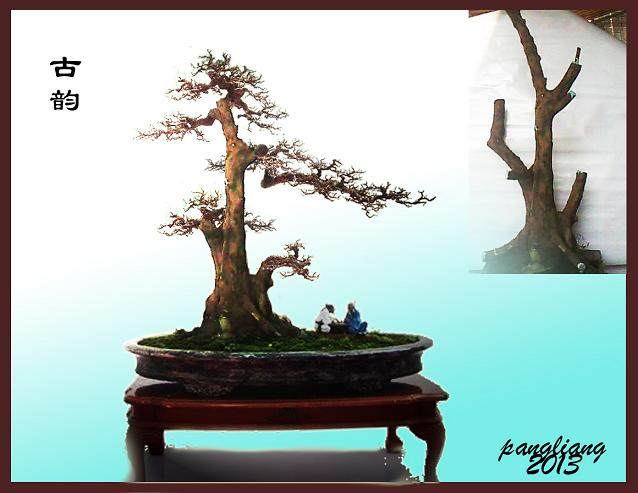 请教下山桩的种植栽培？