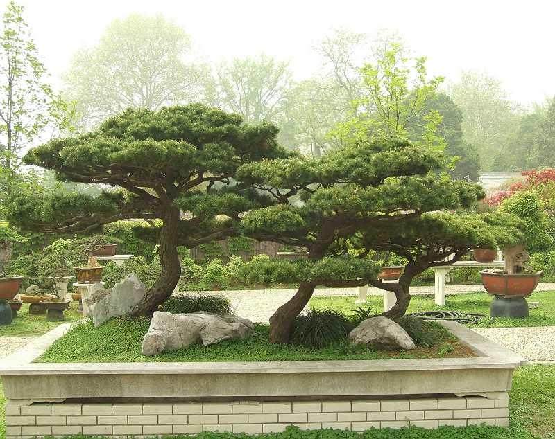 南昌市人民公园摆放30万盆各色鲜花迎国庆