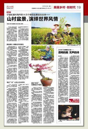 宁波虹星村每年把50万个微型盆景发往全球