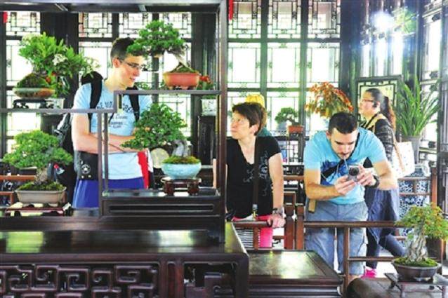 苏派盆景是全国盆景五大流派之一