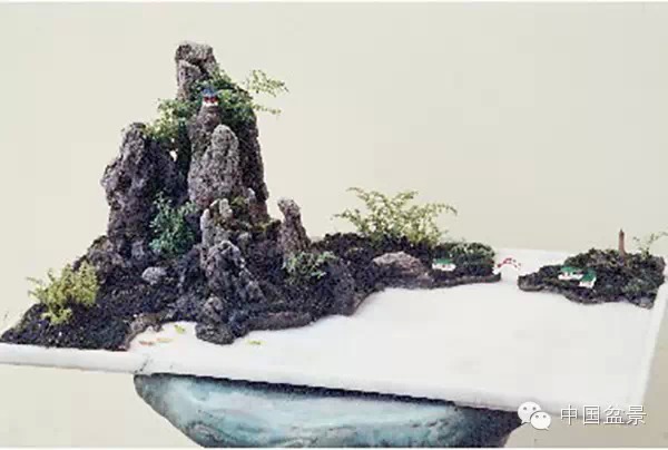 厦门盆景的百年历史