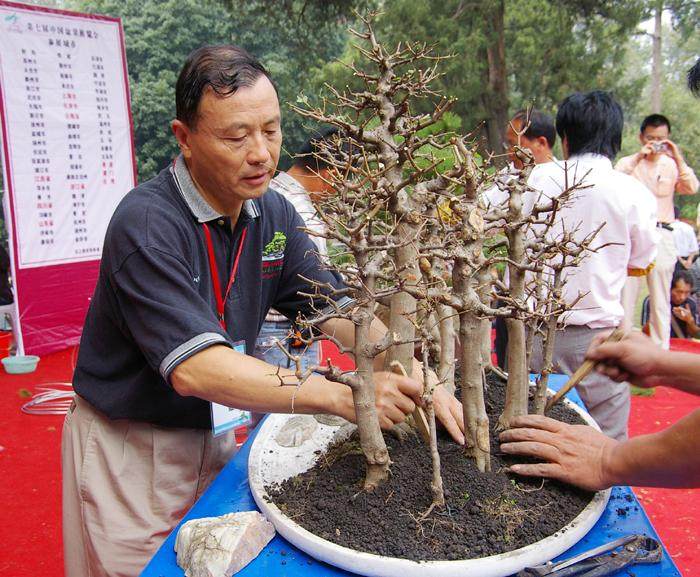 赵庆泉亲自执笔中国首部盆景