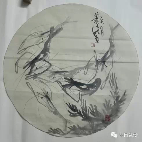 榔榆盆景与新画墨虾欣赏