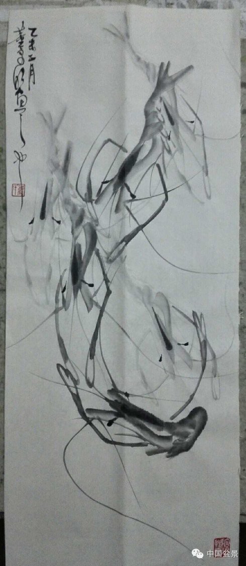 榔榆盆景与新画墨虾欣赏