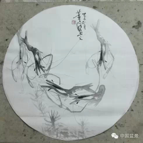 榔榆盆景与新画墨虾欣赏