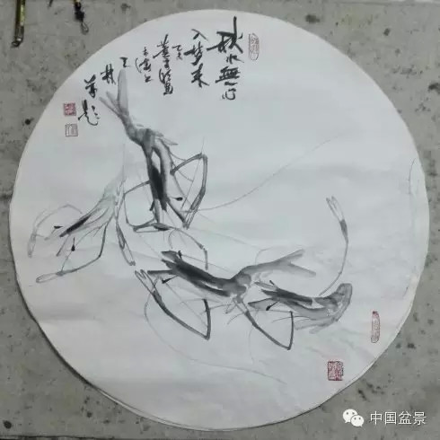 榔榆盆景与新画墨虾欣赏