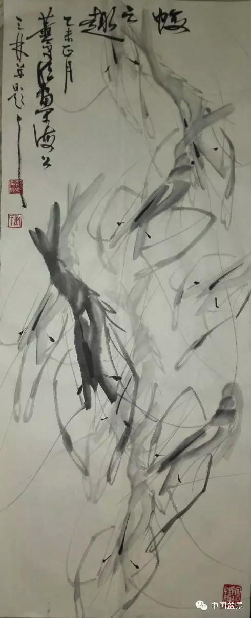 榔榆盆景与新画墨虾欣赏