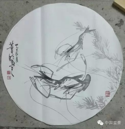 榔榆盆景与新画墨虾欣赏