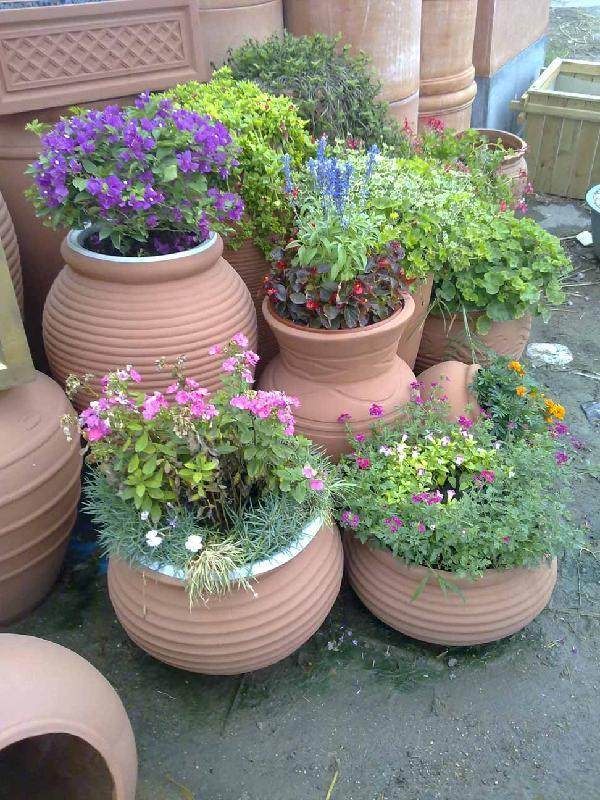 上海花卉盆景批发市场地址