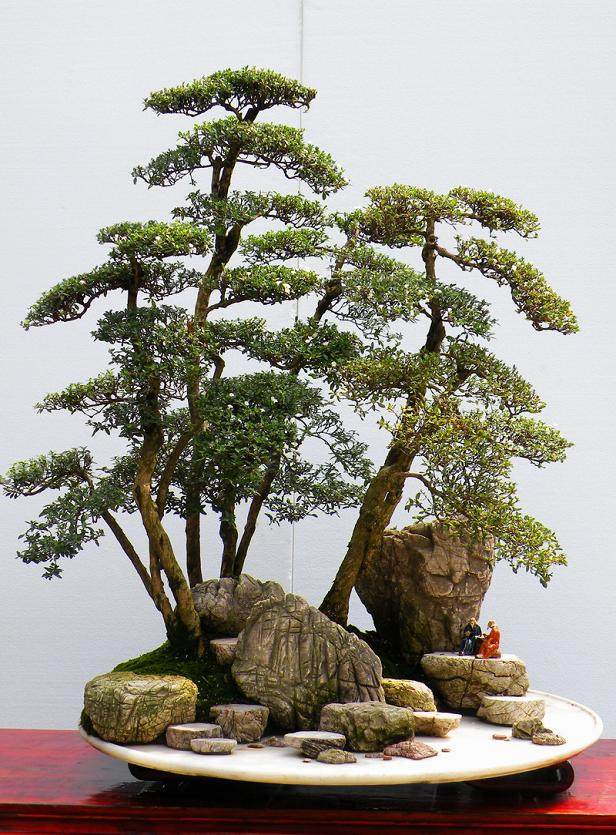 川派盆景国庆亮相四川成都