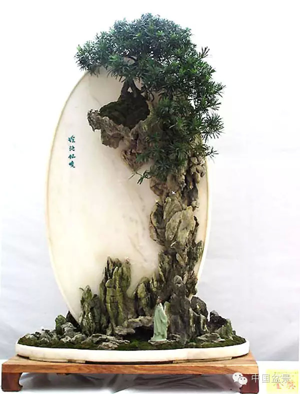 2009年市场价格50万元的盆景