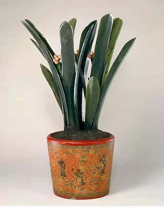 看一看土豪也玩不起的盆景