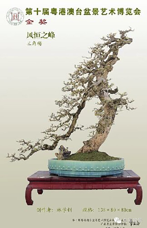 微信盆友实话实说中国盆景路在何方?