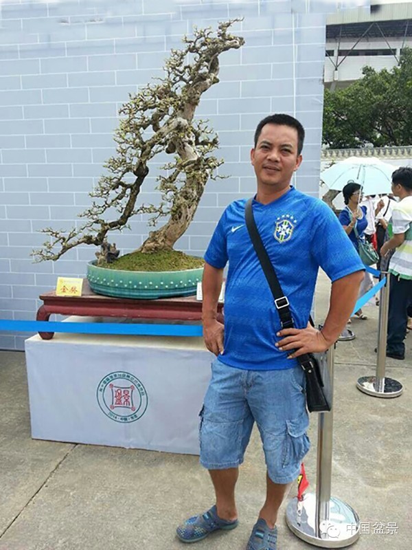 微信盆友实话实说中国盆景路在何方?