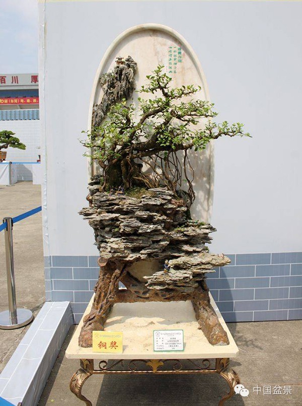 中国盆景历来追求意境的营造