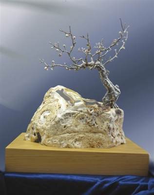 苏州著名现代盆景大师周瘦鹃诞辰120周年