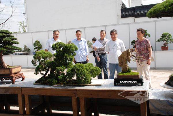 胡荣庆盆景大师在台州