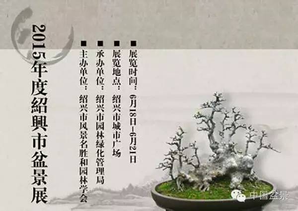 2015年度绍兴盆景展掠影