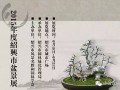 2015年度绍兴盆景展掠影