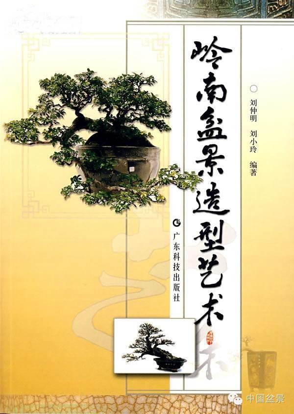 台湾盆景欣赏与盆友感言