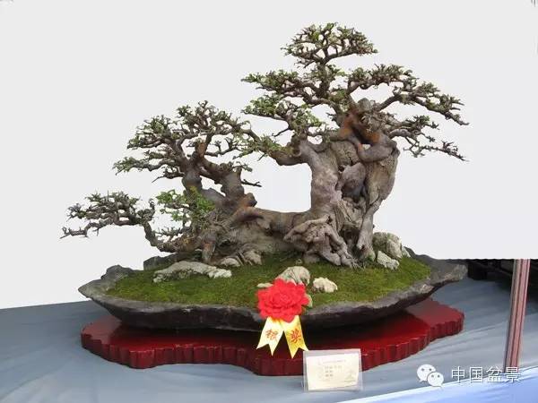 蓬山此去无多路(咏盆景二首)