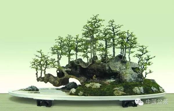 蓬山此去无多路(咏盆景二首)