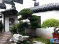 江苏盆景园位于国家5A级濠河景区主入口南侧