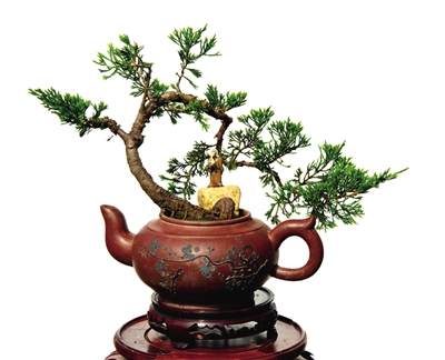 温州民营红欣盆景艺术博物馆