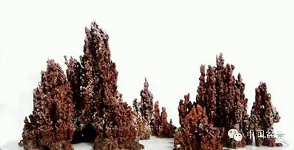 连明良先生(左一)与国际盆景协会领导人合影