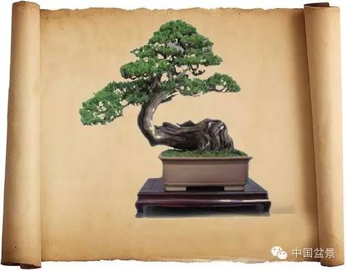 中国盆景艺术大师应国平先生盆景艺术佳作鉴赏