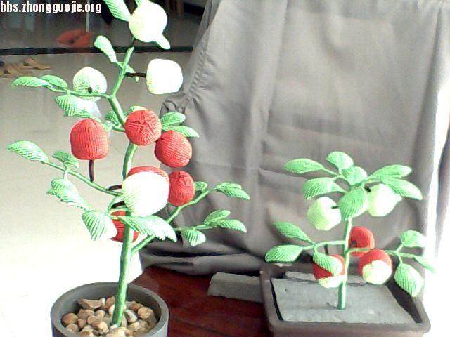 中国果树盆景市场行情分析