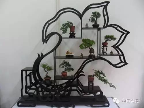 微型盆景欣赏与养护技巧