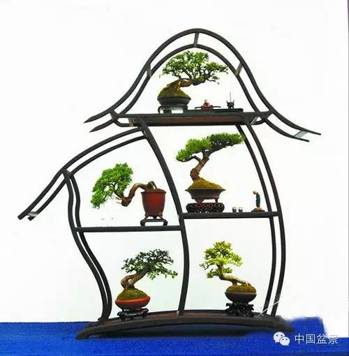 微型盆景欣赏与养护技巧