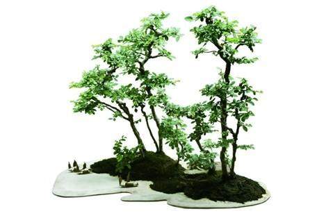 盆景协会授予朱子安中国盆崇艺术大师荣誉称号