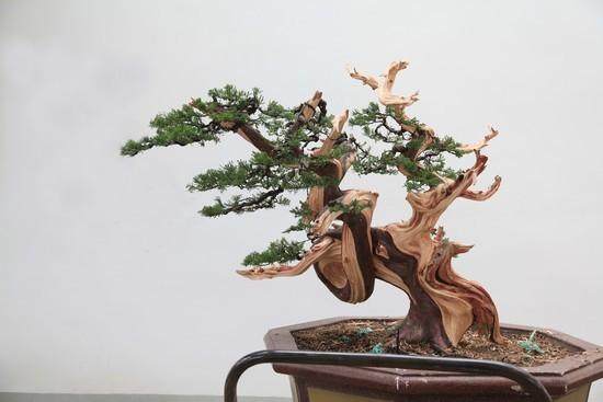 郑诚恭到安徽池州授艺