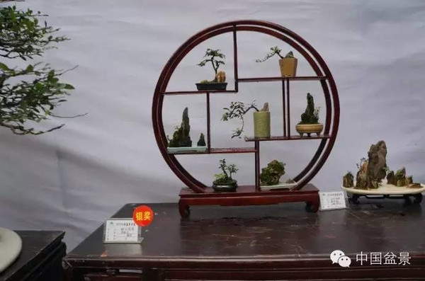 川派盆景专题展获奖作品欣赏