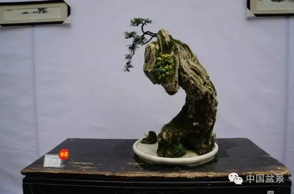 川派盆景专题展获奖作品欣赏