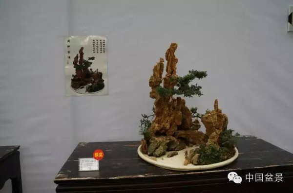 川派盆景专题展获奖作品欣赏