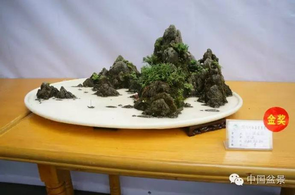 川派盆景专题展获奖作品欣赏