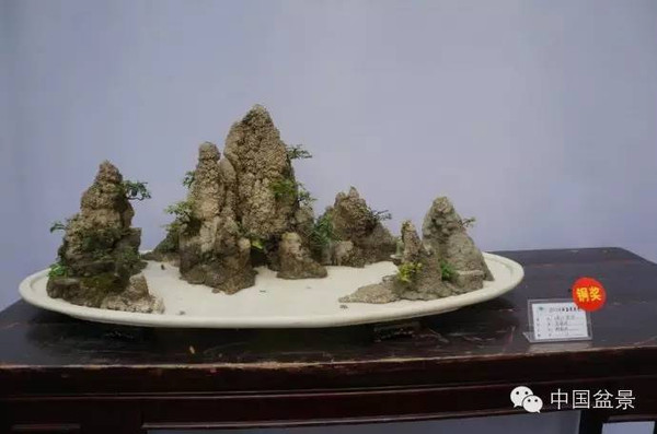 川派盆景专题展获奖作品欣赏