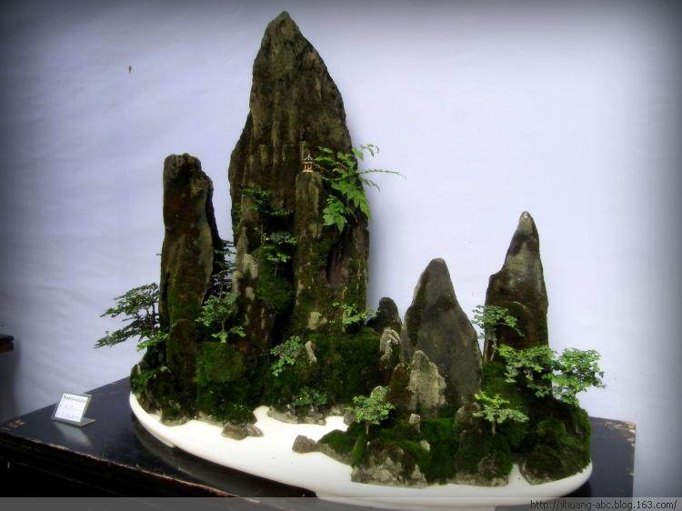 发扬川派盆景文明为主题的作品展