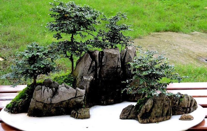 川派盆景呼唤国家级非遗传承人