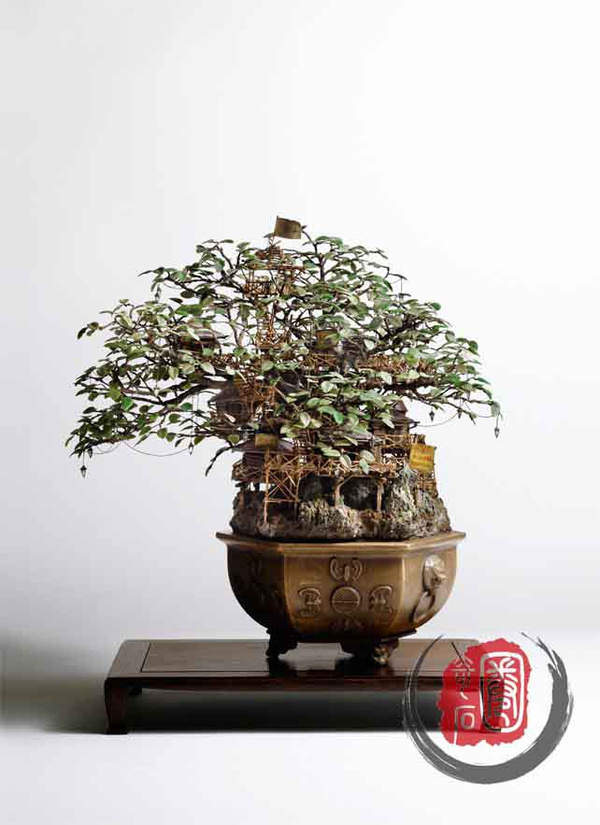 外国人就是会玩 这是盆景还是玩具?