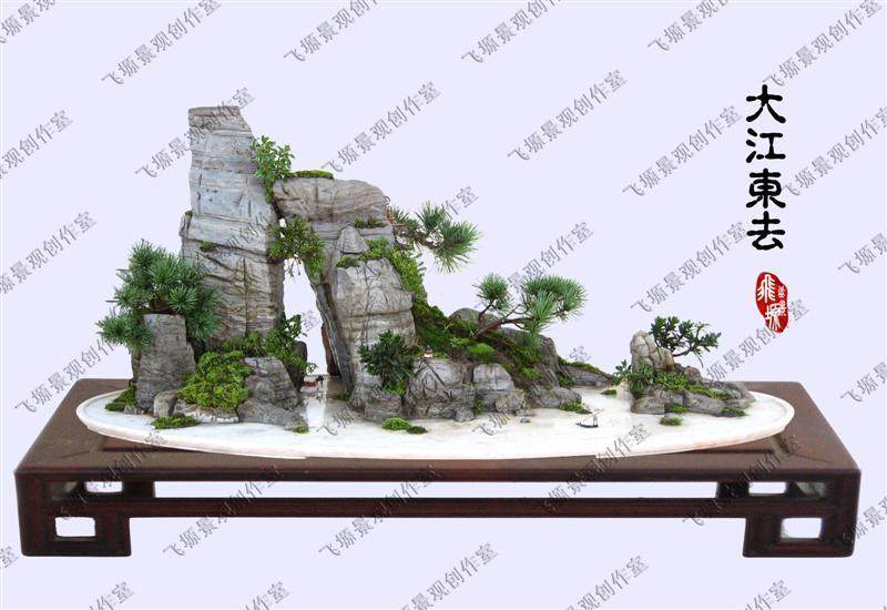 衢州盆友专研盆景 收藏成痴